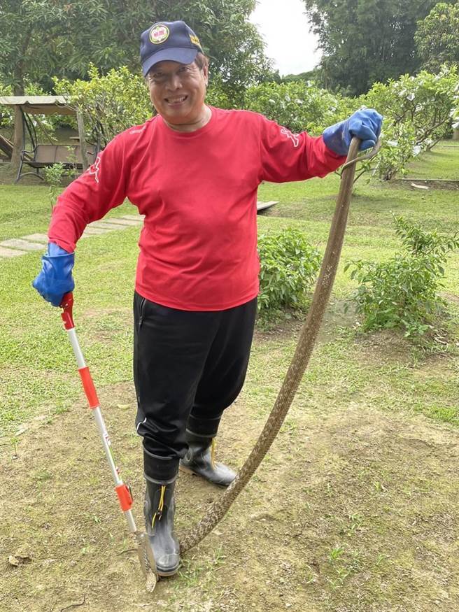 桃园市捕蜂捉蛇大队义消吕绍郎协助捕蜂捉蛇10多年。（吕绍郎提供／陈梦茹桃园传真）