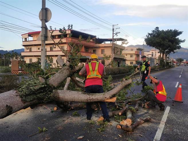 石岡區豐勢大樹倒塌，阻礙往東勢道路，警方獲報趕往現場協助。（警方提供／陳淑娥台中傳真）