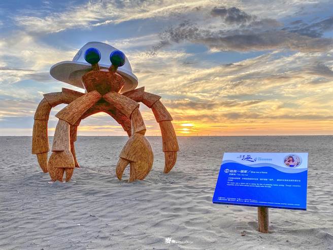 寄居蟹是目前最夯的艺术品。（张麦斯提供／李京升苗栗传真）