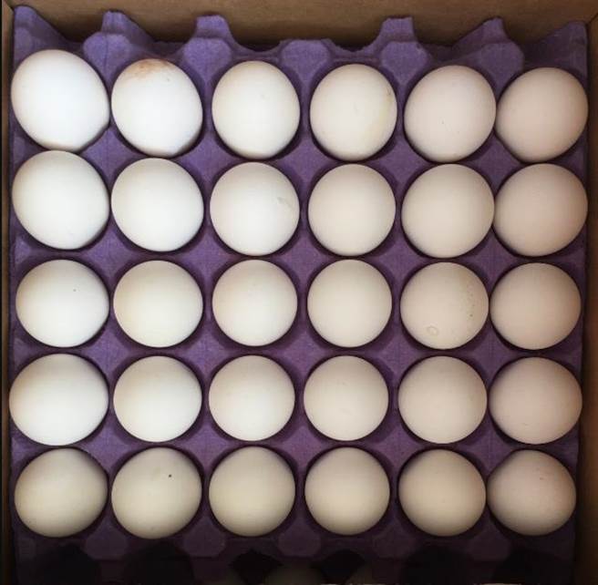 食药署今天验出，农委会自土耳其进口的鸡蛋含有疑似致癌物硝基呋喃代谢物。（食药署提供）