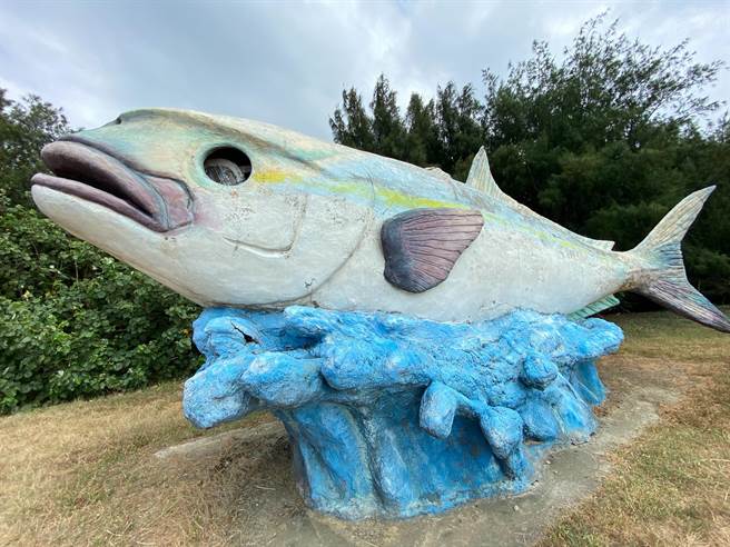 新竹市政府深入调查后发现，南寮海天一线大鱼的左眼其实瞎了4年了，将会尽速修復，还牠光明。（陈育贤摄）