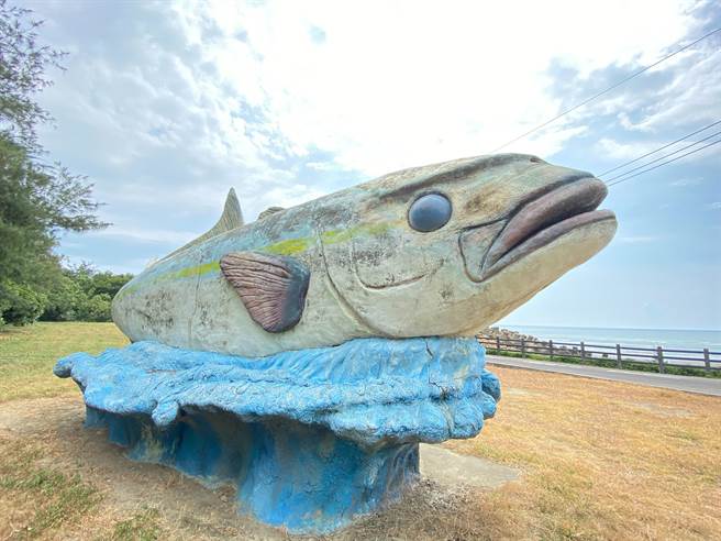 大鱼的左眼是完好的。（陈育贤摄）