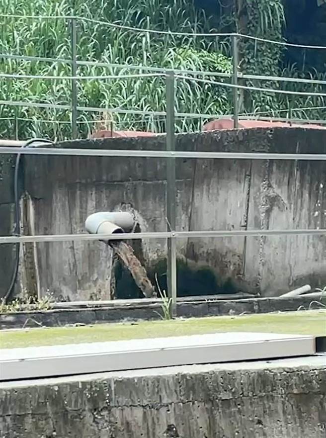 北中寮居民持影片、照片控诉农场偷排粪水，造成他们鸡屎味配饭，苦不堪言。（民眾提供／杨静茹南投传真）