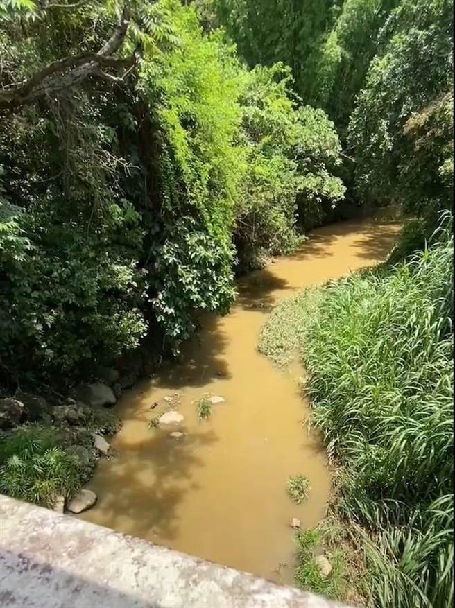 北中寮居民拍摄影片，控诉农场12日偷排粪水进竹坑溪，造成清澈溪水变混浊。（民眾提供／杨静茹南投传真）