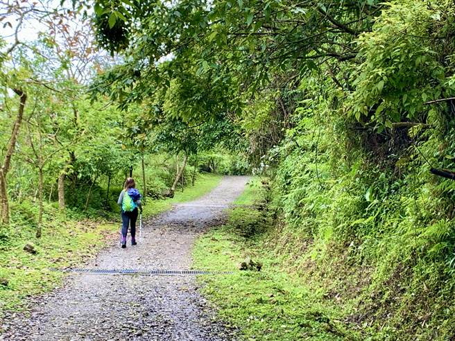 花蓮推低碳綠色旅遊，印製抵用券鼓勵遊客來花蓮。圖為市郊的佐倉步道。（王志偉攝）