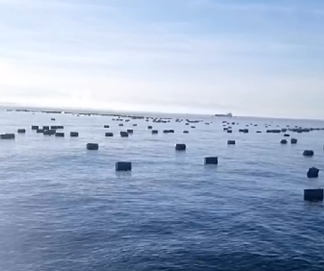 超惊人！天使轮高雄港外沉没 数百货柜漂海面成「另类水雷」。(戴志扬翻摄/民眾提供)