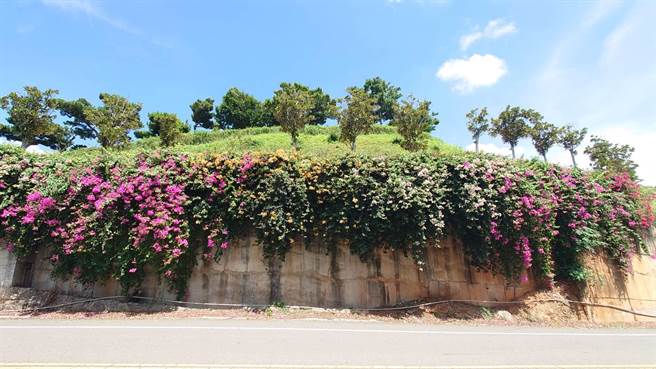 警方表示，并未接获民眾报案，或听闻类似「车床族」嘿咻情事，可能是有情侣一时兴起临时停下车来「办事」。（米诺斯提供／吴建辉彰化传真）