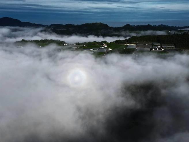 潘樵操作空拍机拍摄到罕见的自然现象「光环」，俗称观音圈。（潘樵提供／杨静茹南投传真）