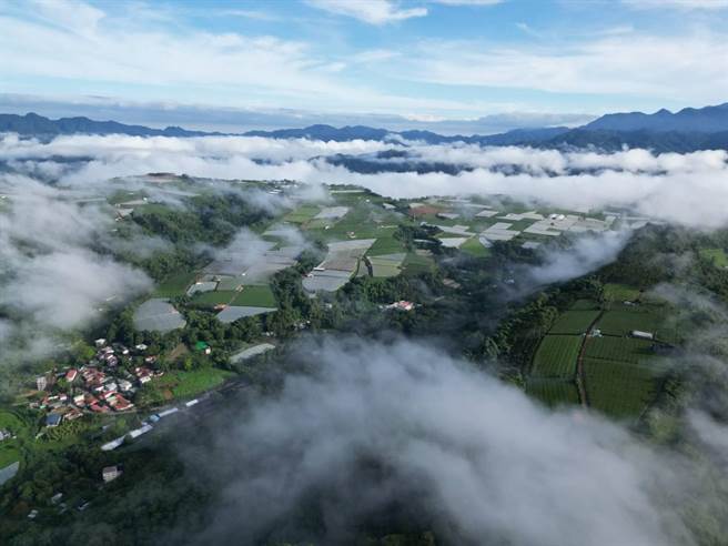 日出后云海在埔里盆地内翻腾，云雾散去后，露出美丽的田园风光。（潘樵提供／杨静茹南投传真）