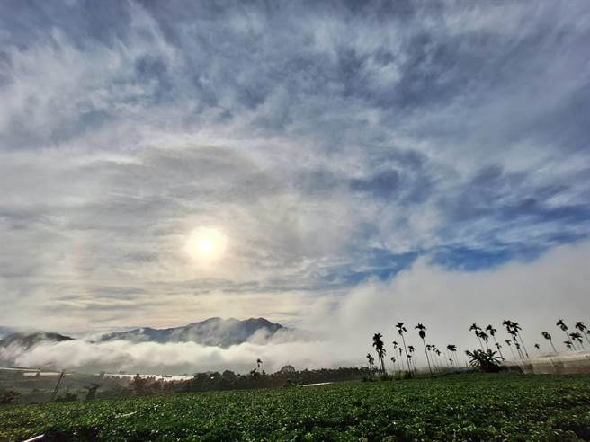 雨后隔天清晨，埔里大坪顶的田园风光，美得令人讚嘆。（潘樵提供／杨静茹南投传真）