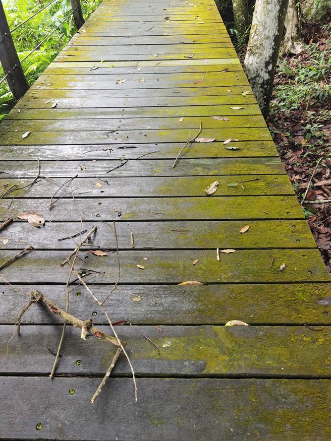 日月潭松柏崙步道不仅是邵族「收番租」的路线，也是水沙连挑盐古道之一。（民眾提供／杨静茹南投传真）