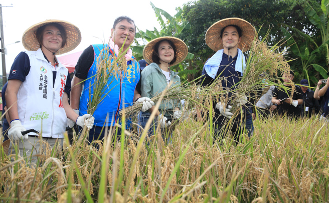 台北市长蒋万安（右起）与立委吴思瑶、市议员陈重文、林延凤等人22日出席「2023北投割稻趣」活动，割稻体验后一同合影。（张铠乙摄）