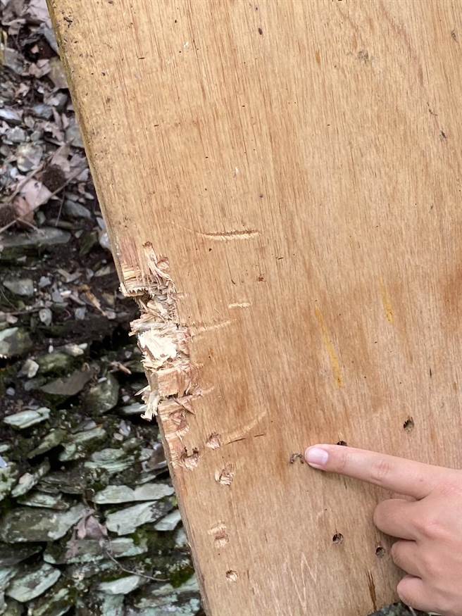 蜂箱外留有爪痕，专家到场调查后，确定是台湾黑熊留下的爪痕。（南投林管处提供／杨静茹南投传真）