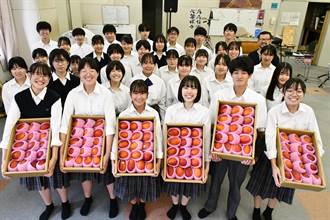 日本高中生「做這事」  驚喜獲黃偉哲贈芒果