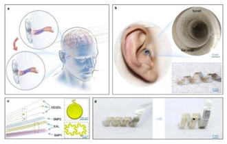 北京清華開發出螺旋形耳塞式腦機介面：有望將思想轉換成文本