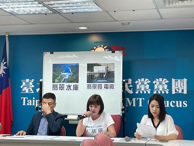 國民黨中央將討論更嚴謹的黨紀規範，國民黨立委參選人徐巧芯指出，在空中樓閣高談闊論，這樣的思維不利總統大選，希望黨部保留一定彈性，讓參選人靈活運用戰術。（劉彥宜攝）