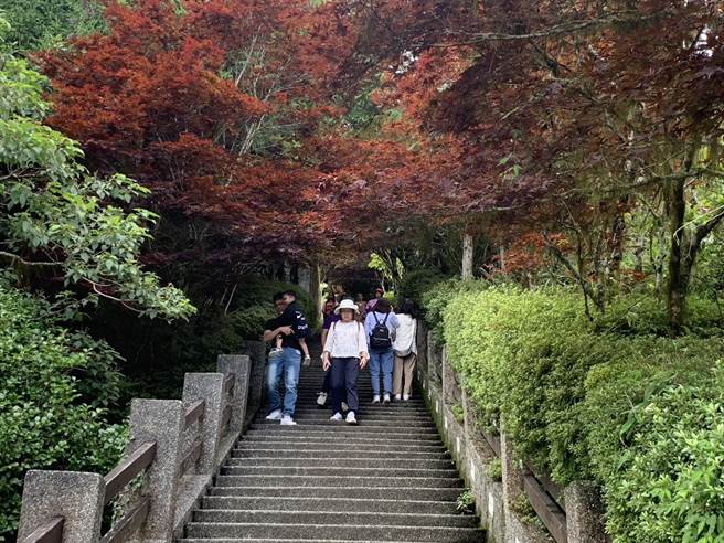 太平山森林游乐区于25日下午4时起预警性休园，预计休园至28日。（罗东林管处提供／吴佩蓉宜兰传真）