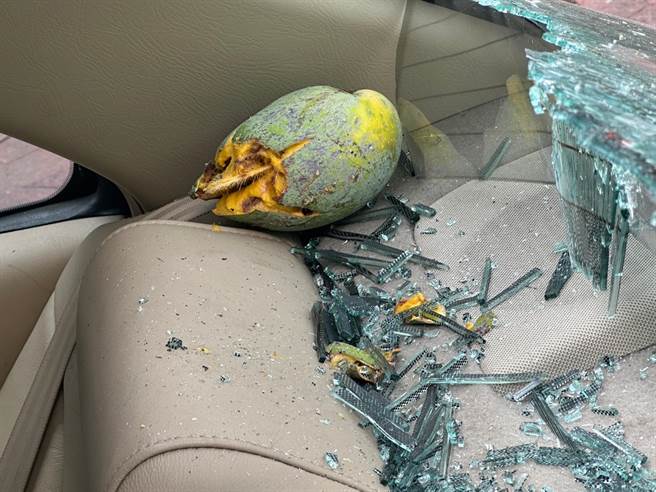 台中南区惊传有民眾停在园道的自小客车遭大王椰子砸损。（市议员罗廷玮提供／冯惠宜台中传真）