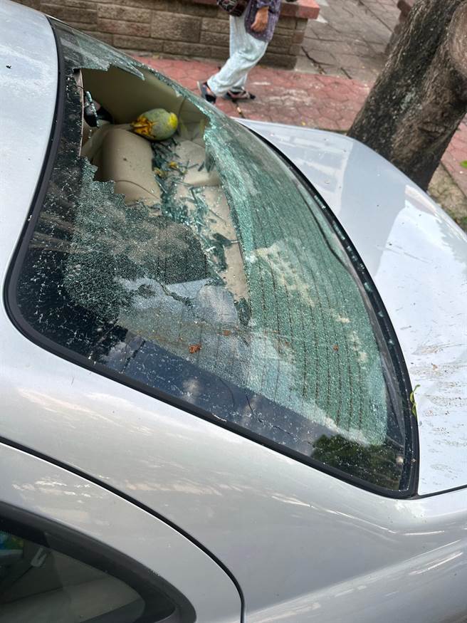 台中南区惊传有民眾停在园道的自小客车遭大王椰子砸损。（市议员罗廷玮提供／冯惠宜台中传真）