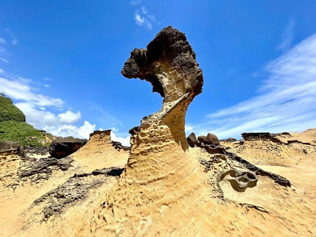 野柳地質公園最知名的女王頭景觀。 圖：北觀處／提供