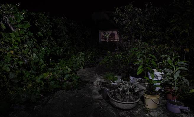 艺术家李若玫的创作蕴含着与家人的深厚情感。（艺术家提供)