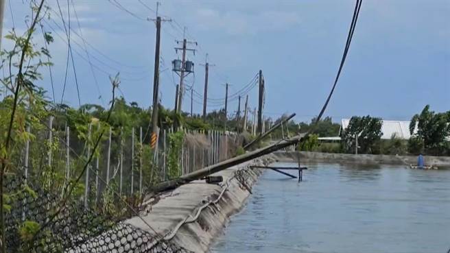 台东知本建农里传出停电灾情，1棵南洋杉路树遭强风吹倒，压毁4支电线杆，造成当地近500户停电。（民眾提供／萧嘉蕙台东传真）