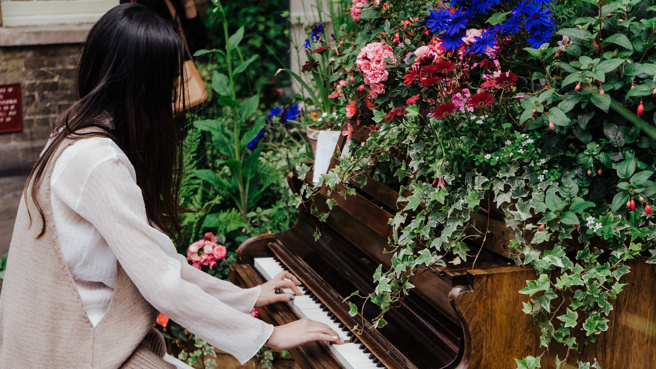 Pan Piano是知名不露脸的钢琴女神。(示意图非当事人／shutterstock)