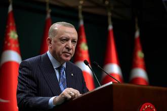 土耳其總統艾爾多安會見王毅 稱恪守一中原則