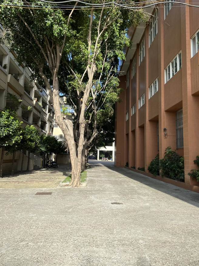 彰化县忠孝国小教学区中庭园地坪整修改善。（教育部提供／林志成台北传真）