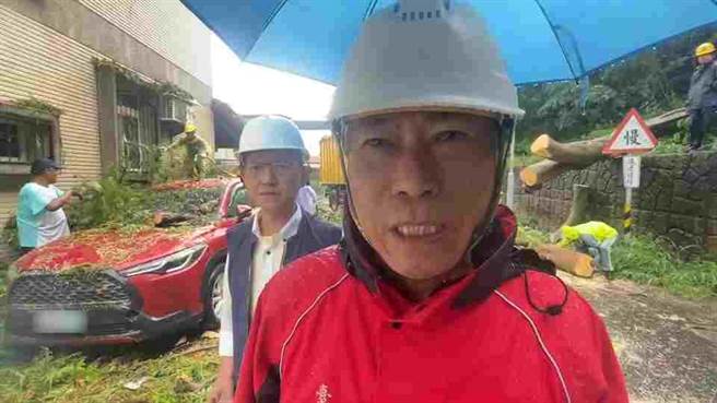台东市鲤鱼山1棵高大的凤凰木倾倒，总共有3台汽车跟民宅冷气受损，台东市长陈铭风到场关心情形。（蔡旻妤摄）