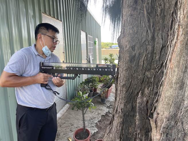 台南市政府農業局列管的老樹已累計至352株，為了預防樹木遇到強風大雨不堪一擊，每年會進行健康檢查。（台南市政府農業局提供／張毓翎台南傳真）