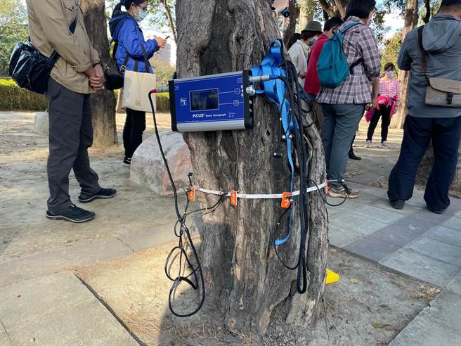 專家會利用儀式檢測樹木內部腐朽的程度。（台南市政府農業局提供／張毓翎台南傳真）