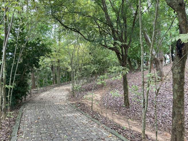 关西镇鸣凤公园阴陈旧缺乏设施，民眾使用意愿低。（邱立雅摄）