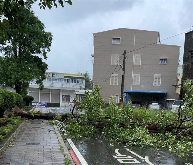中颱杜蘇芮來勢洶洶，首當其衝的恆春半島26日午後風雨漸強，恆春鎮、車城鄉都陸續傳有路樹倒塌，所幸無人受傷。（屏東消防局提供／謝佳潾屏東傳真）