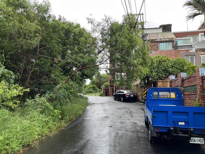 中颱杜蘇芮來勢洶洶，首當其衝的恆春半島26日午後風雨漸強，恆春鎮、車城鄉都陸續傳有路樹倒塌，所幸無人受傷。（屏東消防局提供／謝佳潾屏東傳真）