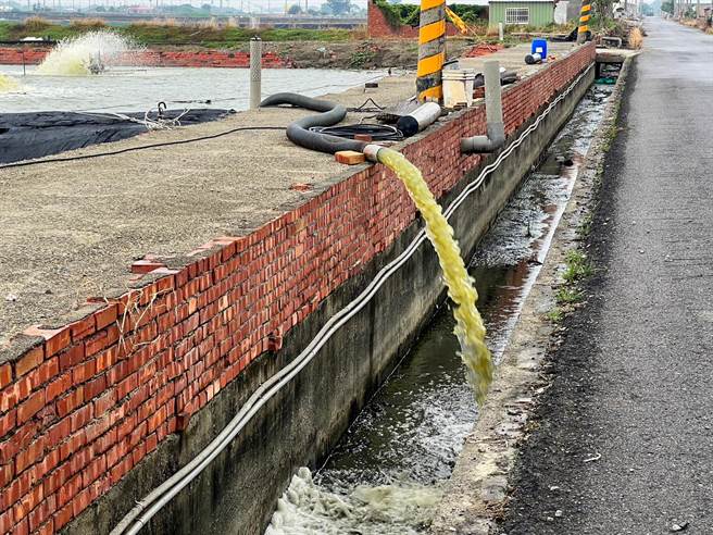 嘉义县沿海养殖业全面备战，以因应杜苏芮可能造成的危害。（吕妍庭摄）
