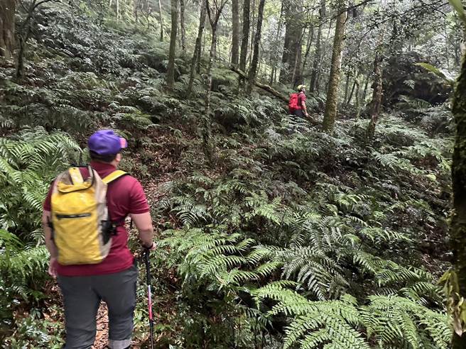 桃园市消防局呼吁，颱风逼近民眾切勿不要登山也别靠近海边，此为示意图，非此次搜救画面。（消防局提供／吕筱蝉桃园传真）