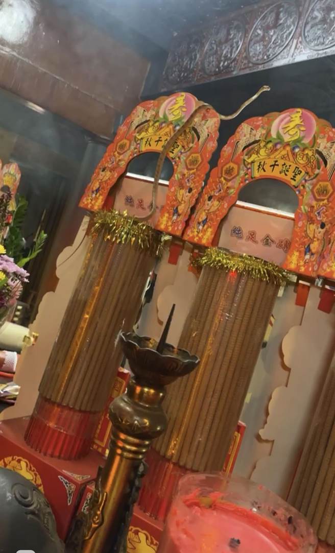 灵蛇每年端午前后造访天受宫，这次迟到1个月现身，缔造蝉联44年都有灵蛇来天受宫参礼纪录。（陈政雄提供／杨静茹南投传真）