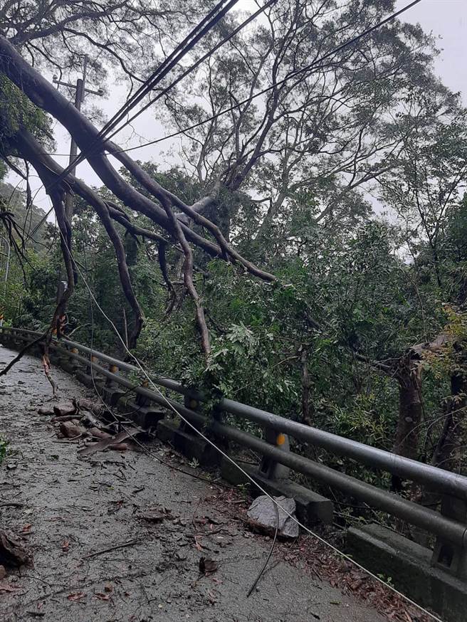 桃源區今早大樹倒塌，造成電線桿上的電線斷裂，約620戶停電，台電緊急派員搶修中。（台電提供）