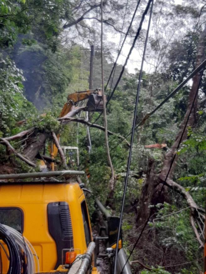 桃源區今早大樹倒塌，造成電線桿上的電線斷裂，約620戶停電，台電緊急派員搶修中。（台電提供）