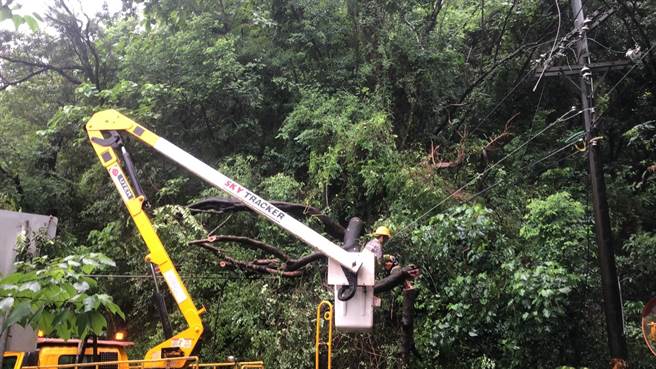 屏东泰武乡27日一早传出路树倒塌压断高压线，导致泰武、来义2原乡共467户停电，台电目前正在抢修中。（台电提供／谢佳潾屏东传真）