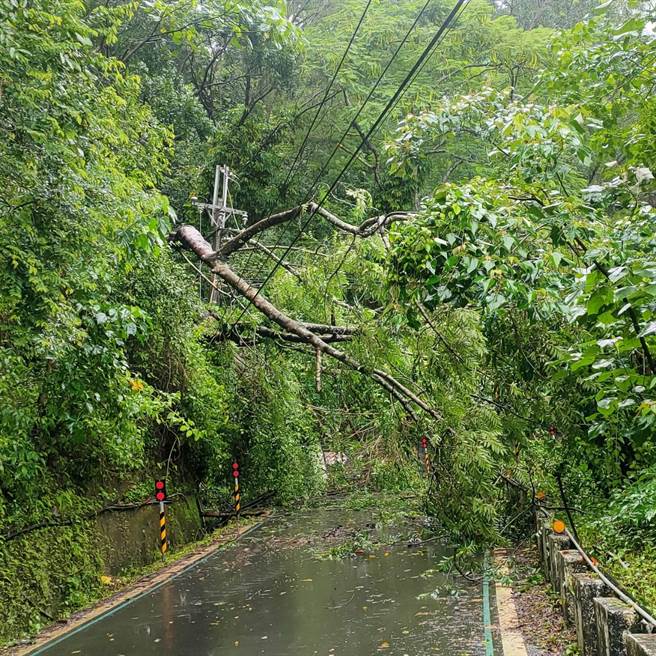 屏东泰武乡27日一早传出路树倒塌压断高压线，导致泰武、来义2原乡共467户停电，台电目前正在抢修中。（台电提供／谢佳潾屏东传真）