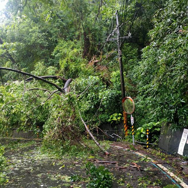屏东泰武乡27日一早传出路树倒塌压断高压线，导致泰武、来义2原乡共467户停电，台电目前正在抢修中。（台电提供／谢佳潾屏东传真）