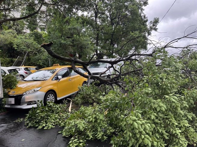 基隆市暖暖区碇内街往幸福华城社区有路树倒塌，一度造成道路双向中断，警民合力才将路树清理并排除。（基隆市警察局提供／徐佑升基隆传真）