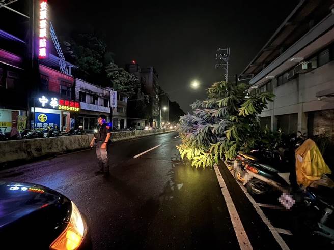 基隆市暖暖区的八堵火车站也有路树倒塌，警方现场实施交管并请承包厂商排除。（基隆市警察局提供／徐佑升基隆传真）