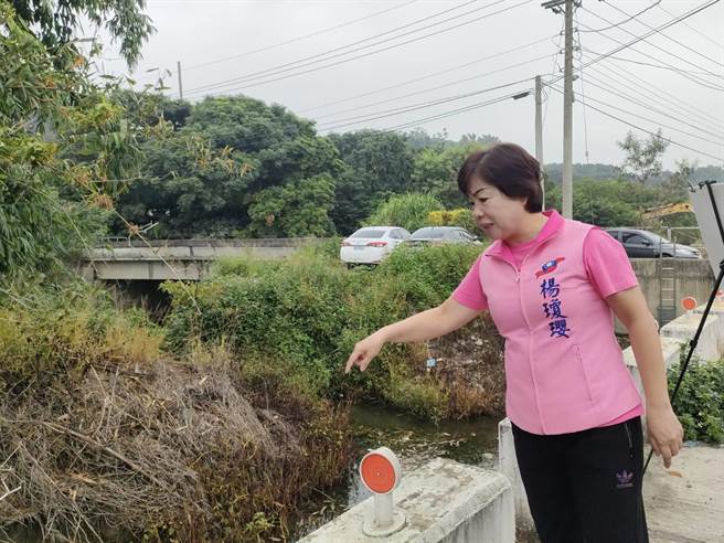 杨琼璎说，软埤仔溪、崎沟桥工程成功发包，预计将崎沟桥增长至25至26公尺并增高桥高约1公尺，让水流可以顺利通过河道。（潘虹恩摄）