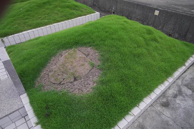 民眾向翁嘉壕陈情表示，日前他带着鲜花素果道朝兴公墓祭拜父亲，没想到看到坟墓上草皮就像被挖走一样，担心许多人受害，因此才向翁嘉壕陈情。（吴建辉摄）