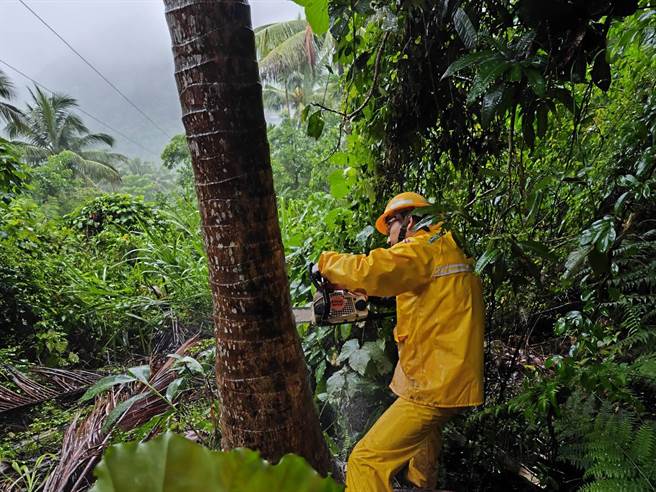 杜苏芮颱风侵袭，台电投入大量人力抢修。（台电提供／蔡旻妤台东传真）