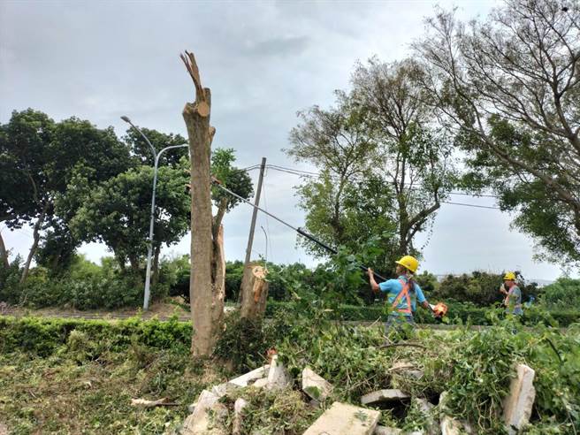 中颱杜苏芮未到，金门已酿19件灾情，其中12件路树倾倒已由林务所紧急派员协处。（图／民眾提供）