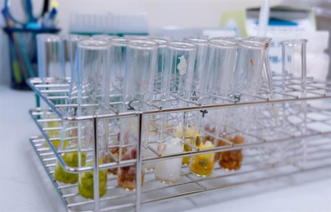 透过苍蝇头农药检测法，10分钟就可以知道该蔬果是否农药残留超标。竹山镇公所提供